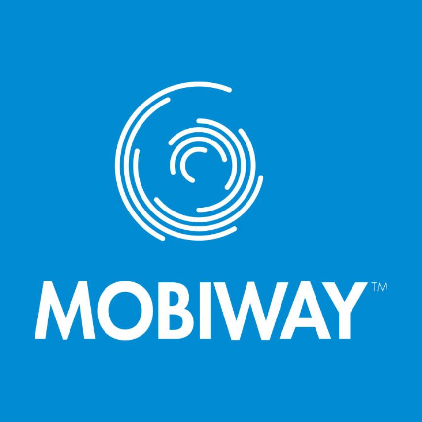 MOBIWAY™ system (1 set of 2 flanges)